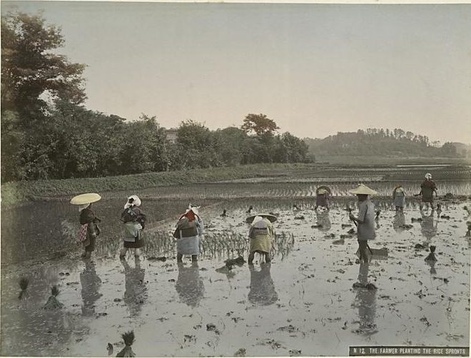 日本の田植え風景。皐月の語源は早苗月（さなえづき）からと言われる
