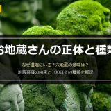 お地蔵さんとは何者？なぜ道端にいる？六地蔵の意味と100以上の種類をわかりやすく解説