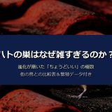 ハトの巣はなぜ雑すぎる？進化が磨いた5つの理由と他の鳥との比較表で徹底解説