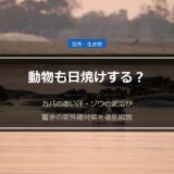 動物も日焼けする？カバの赤い汗・ゾウの泥浴び・クジラの日焼け跡…驚きの紫外線対策を徹底解説