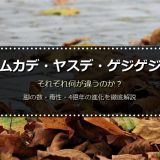 ムカデ・ヤスデ・ゲジゲジの違いを徹底比較！脚の本数・毒性・4億年進化史と1306本の世界記録