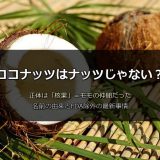 ココナッツは果物？ナッツ？種？正体は「核果」だった！分類の謎と名前の由来を徹底解説