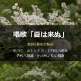 サムネ「夏は来ぬ」歌詞解説