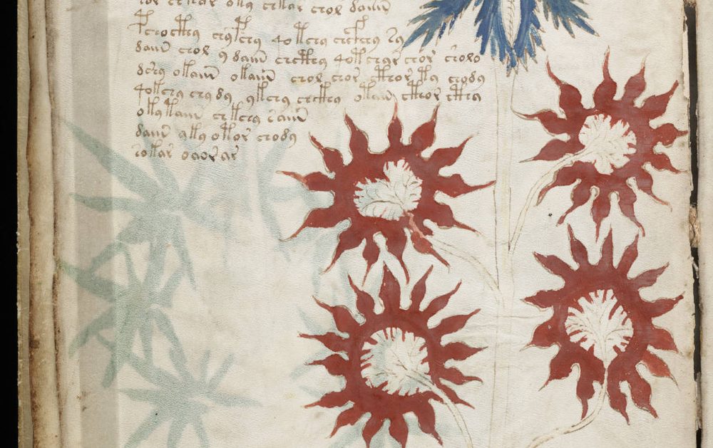 ヴォイニッチ手稿のページ