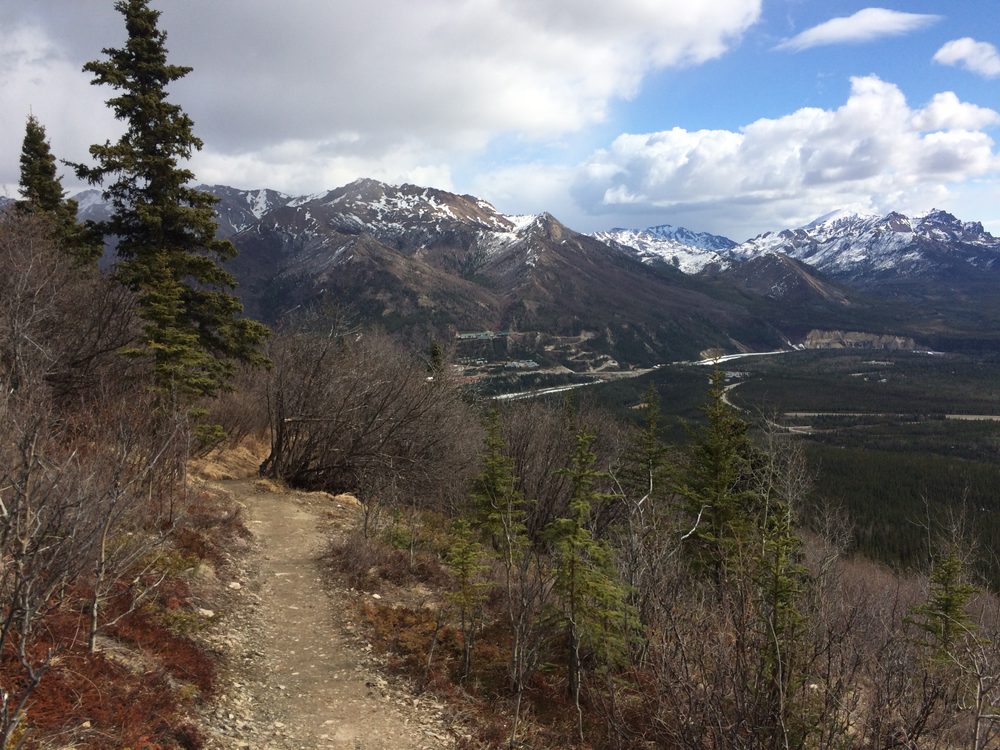 アラスカのデナリ国立公園