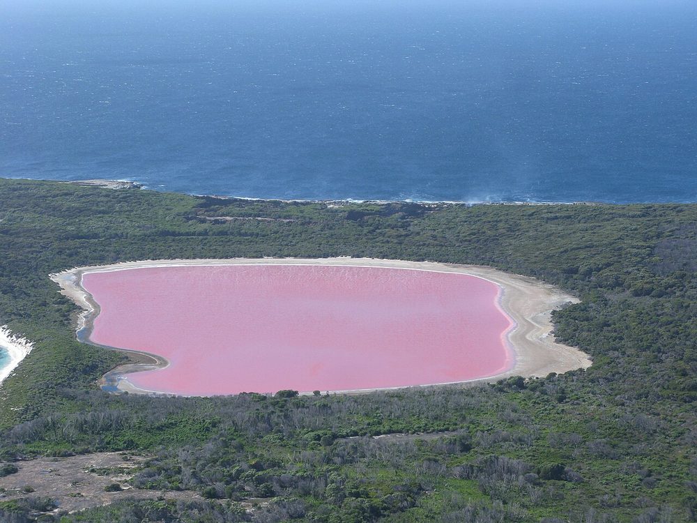 ヒリアー湖|オーストラリアのピンク色をした神秘の塩湖