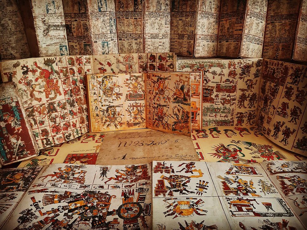 メソアメリカの絵文書コーデックス展示