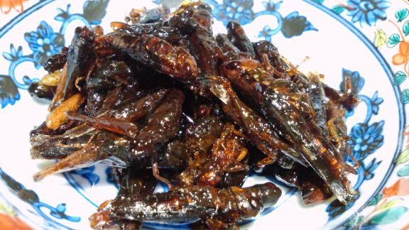 いなごの佃煮 - 長野県の伝統食