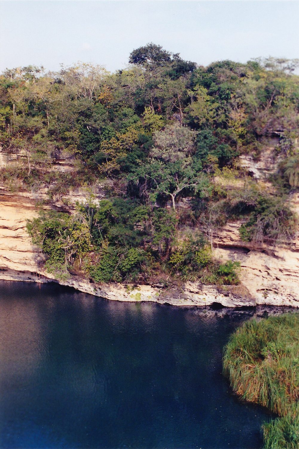 セノーテ・サカトン メキシコ タマウリパス州 深さ339メートルの水没縦穴