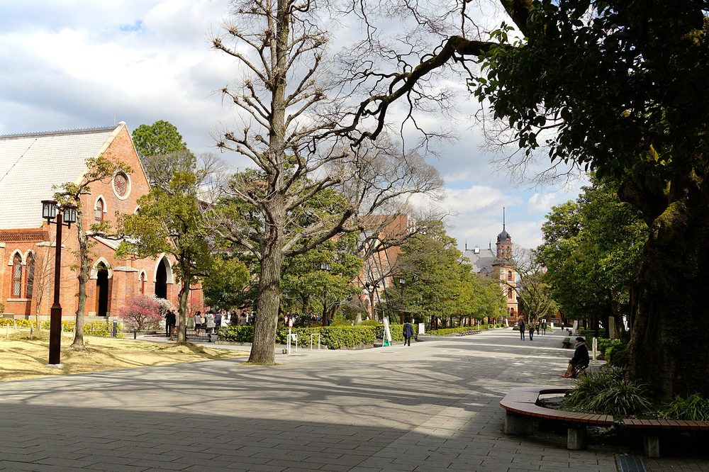 同志社大学 今出川キャンパスの赤レンガ礼拝堂と並木道