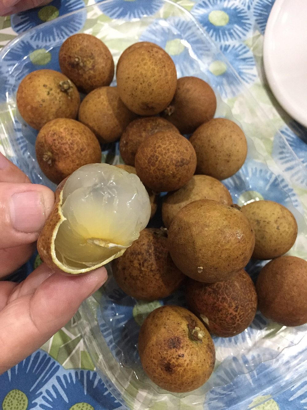 ロンガン 龍眼 珍しい果物