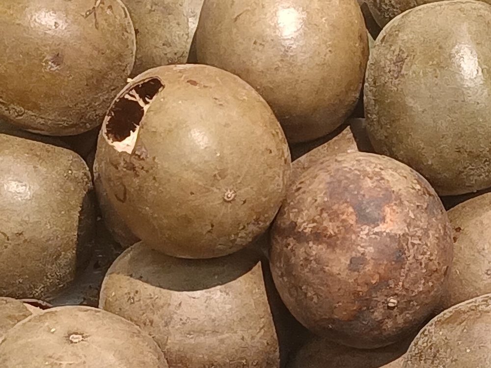 羅漢果 ラカンカ モンクフルーツ 珍しい果物