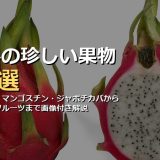 世界の珍しい果物40選！ドリアン・マンゴスチン・ジャボチカバからミラクルフルーツまで画像付きで徹底解説