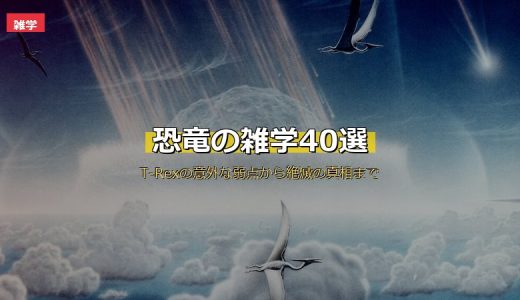 恐竜の雑学40選！ティラノサウルス・トリケラトプスの意外な事実から絶滅の真相まで徹底紹介