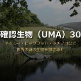 UMA未確認生物30選サムネイル