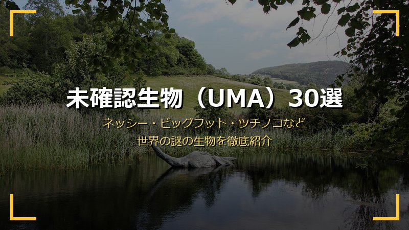 UMA未確認生物30選サムネイル