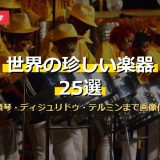 世界の珍しい楽器25選！馬頭琴・ディジュリドゥ・テルミンから電子楽器まで画像付きで徹底解説