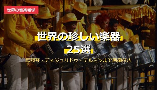 世界の珍しい楽器25選の記事サムネイル