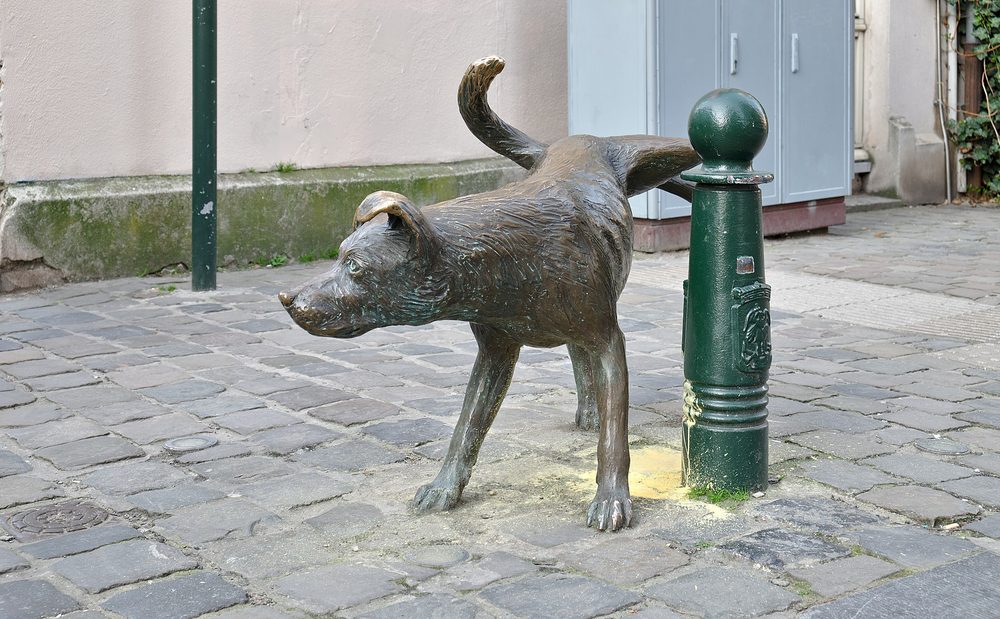 ジネケ・ピス ブリュッセル 小便犬
