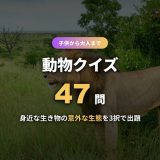 動物クイズ47問！子供から大人まで楽しめる3択問題を種類別・解説付きで出題