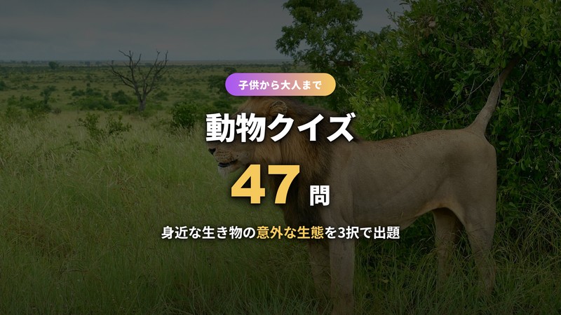 動物クイズ47問のサムネイル画像