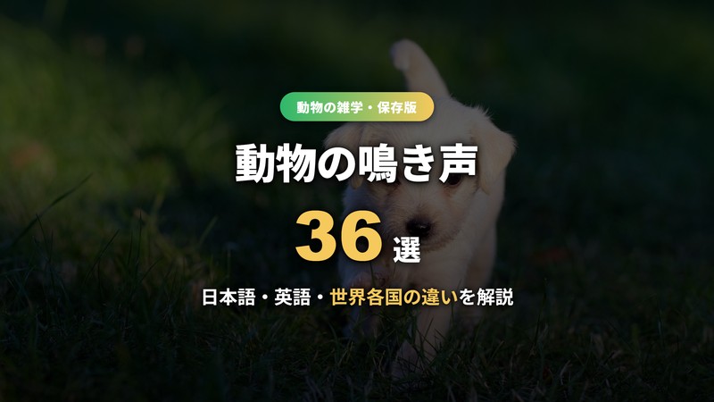 動物の鳴き声36選！日本語・英語・世界各国の違いを解説するサムネイル