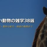 面白い動物の雑学38選！体の不思議・意外な能力・俗説の真偽まで徹底解説