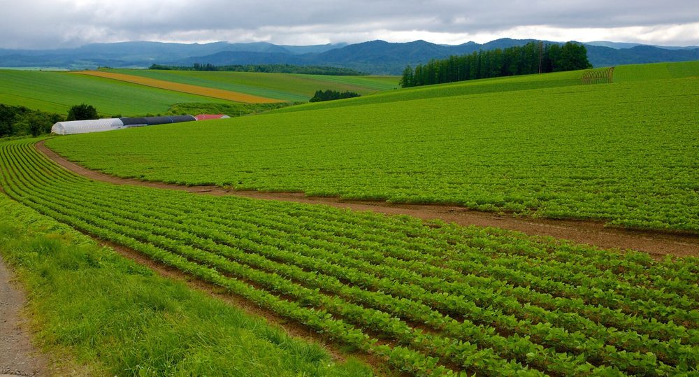 北海道の広大な丘陵地帯 北海道東北の方言のイメージ