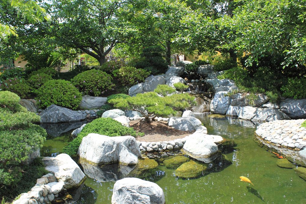 鯉が泳ぐ日本庭園の池（水にまつわる慣用句のイメージ）