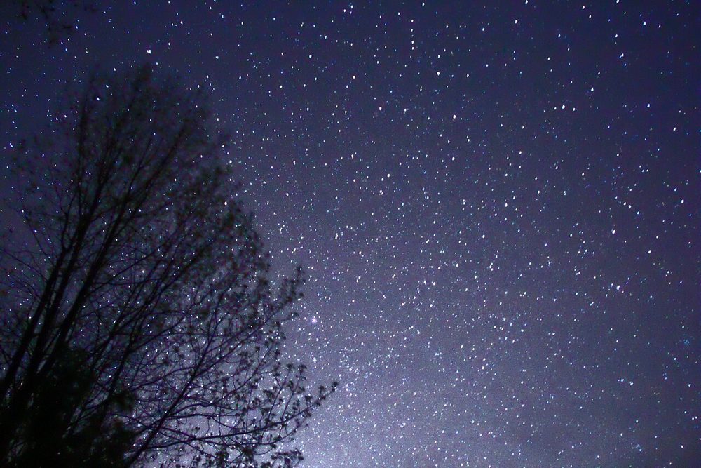 木立の上に広がる満天の星空