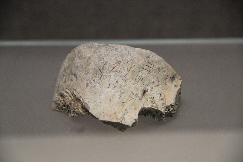 漢字が刻まれた古代中国の甲骨文字(十干の起源)