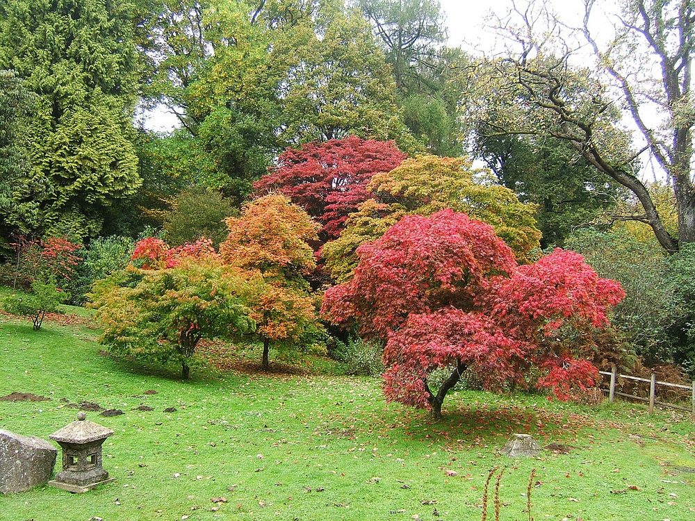 紅葉に彩られた日本庭園