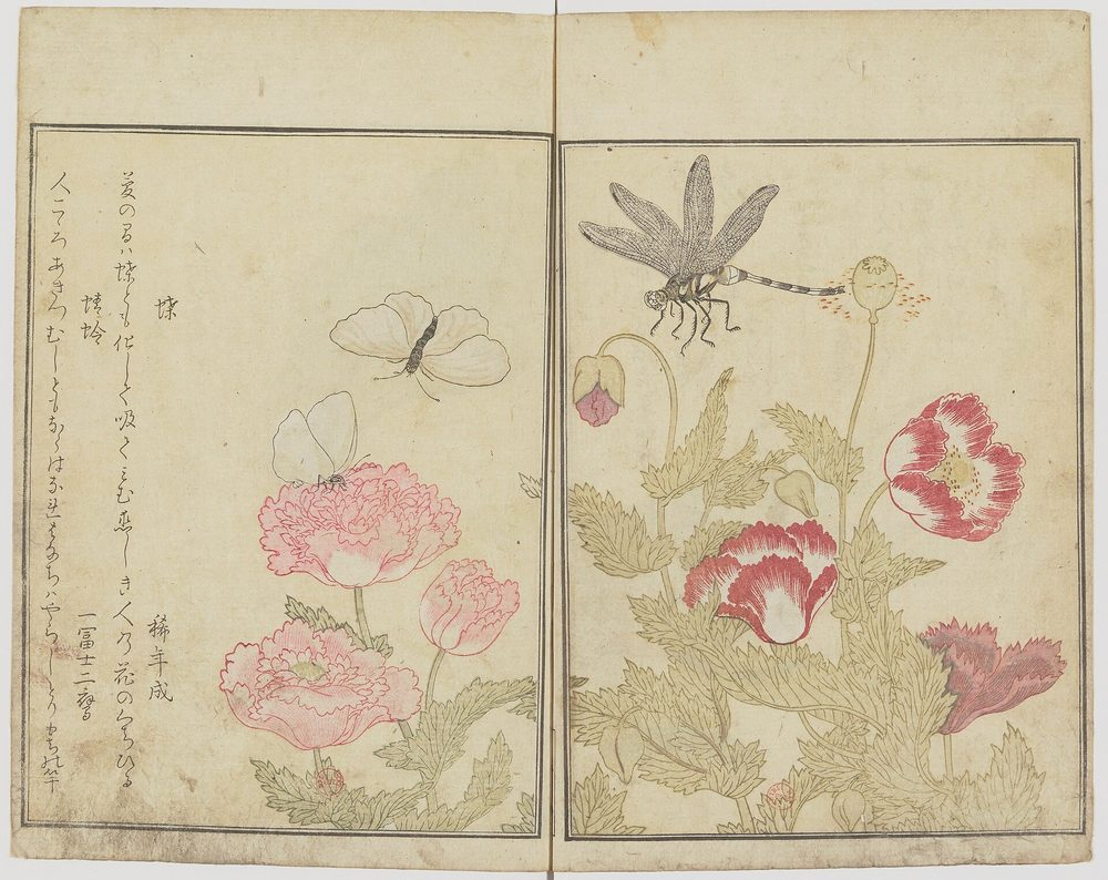 喜多川歌麿の狂歌絵本『画本虫撰』花と蝶に添えられた狂歌