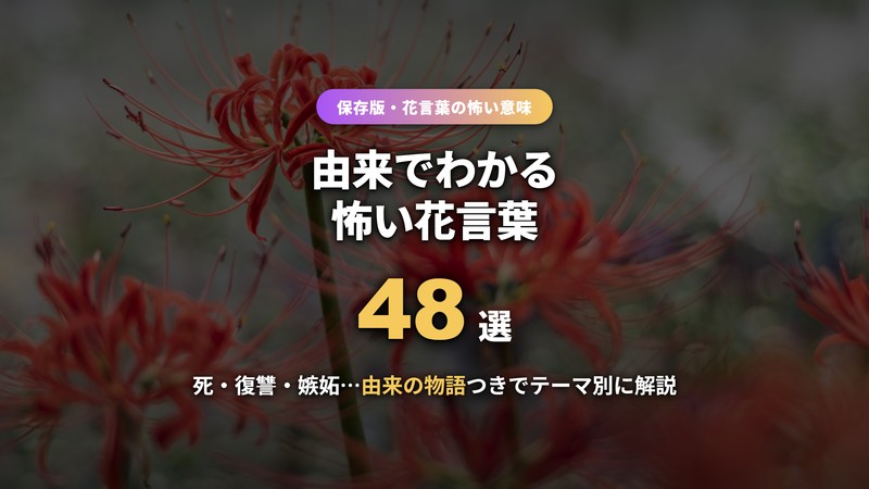 怖い花言葉のイメージ（彼岸花）