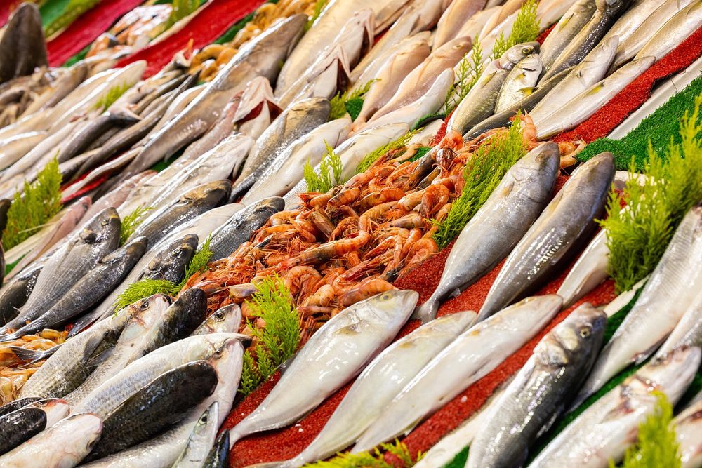 さまざまな種類の魚 出世魚の一覧イメージ