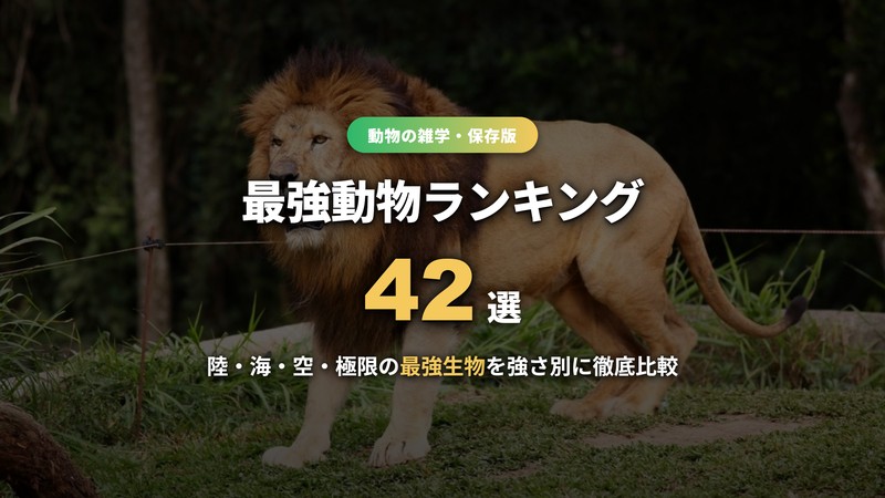 最強動物ランキングのサムネイル