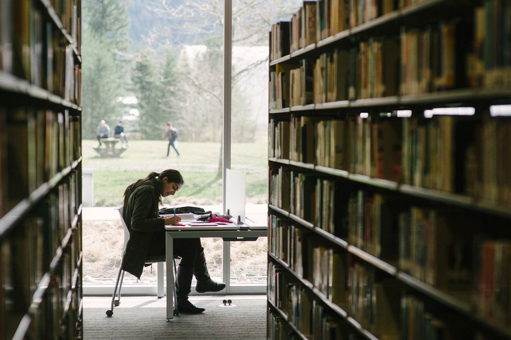 大学の図書館でゼミの資料を調べる学生