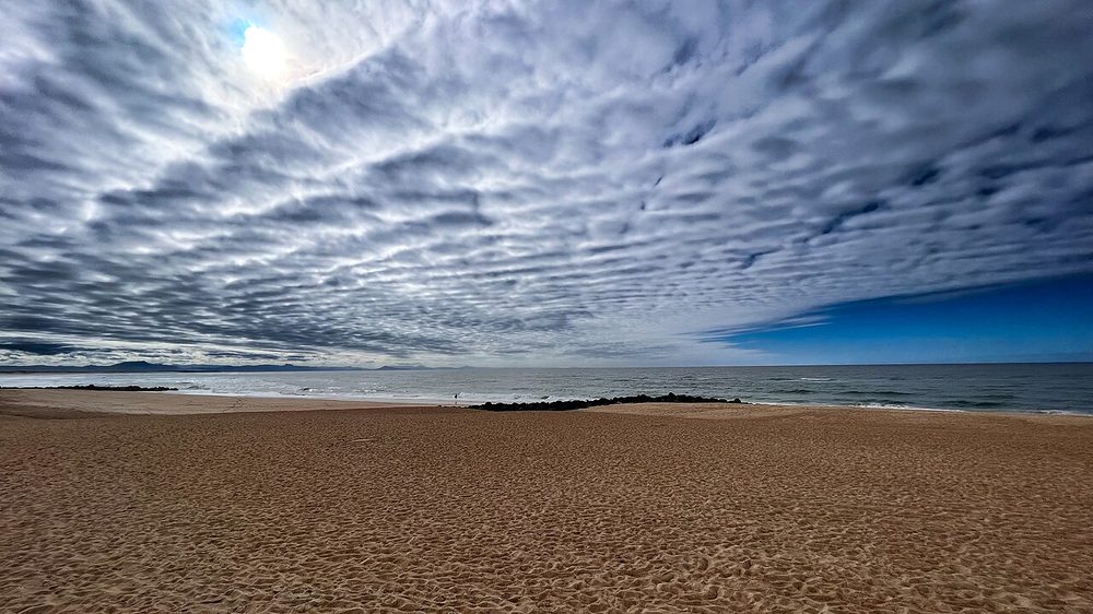 うろこ雲(巻積雲)が空一面に広がるさば雲の空